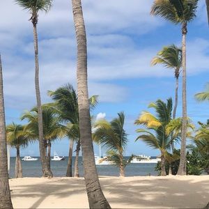 Meet your Posher, Rosemaria